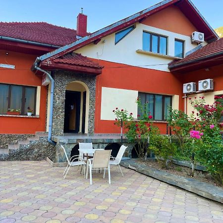 Pensiunea Orhideea Байле Херкулане Екстериор снимка