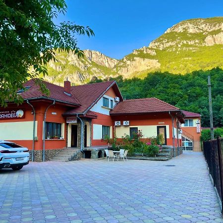 Pensiunea Orhideea Байле Херкулане Екстериор снимка